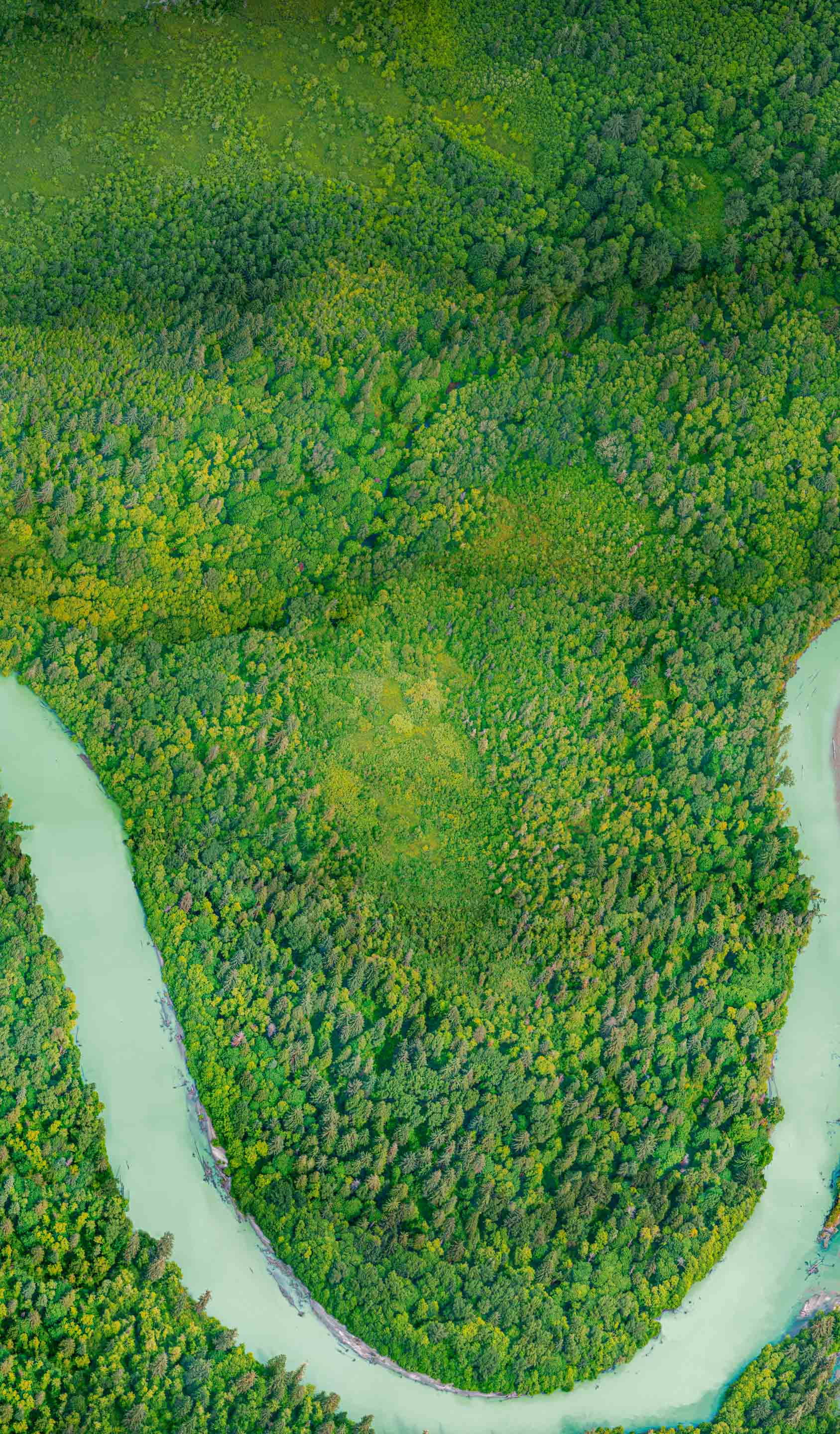 Wilderness International